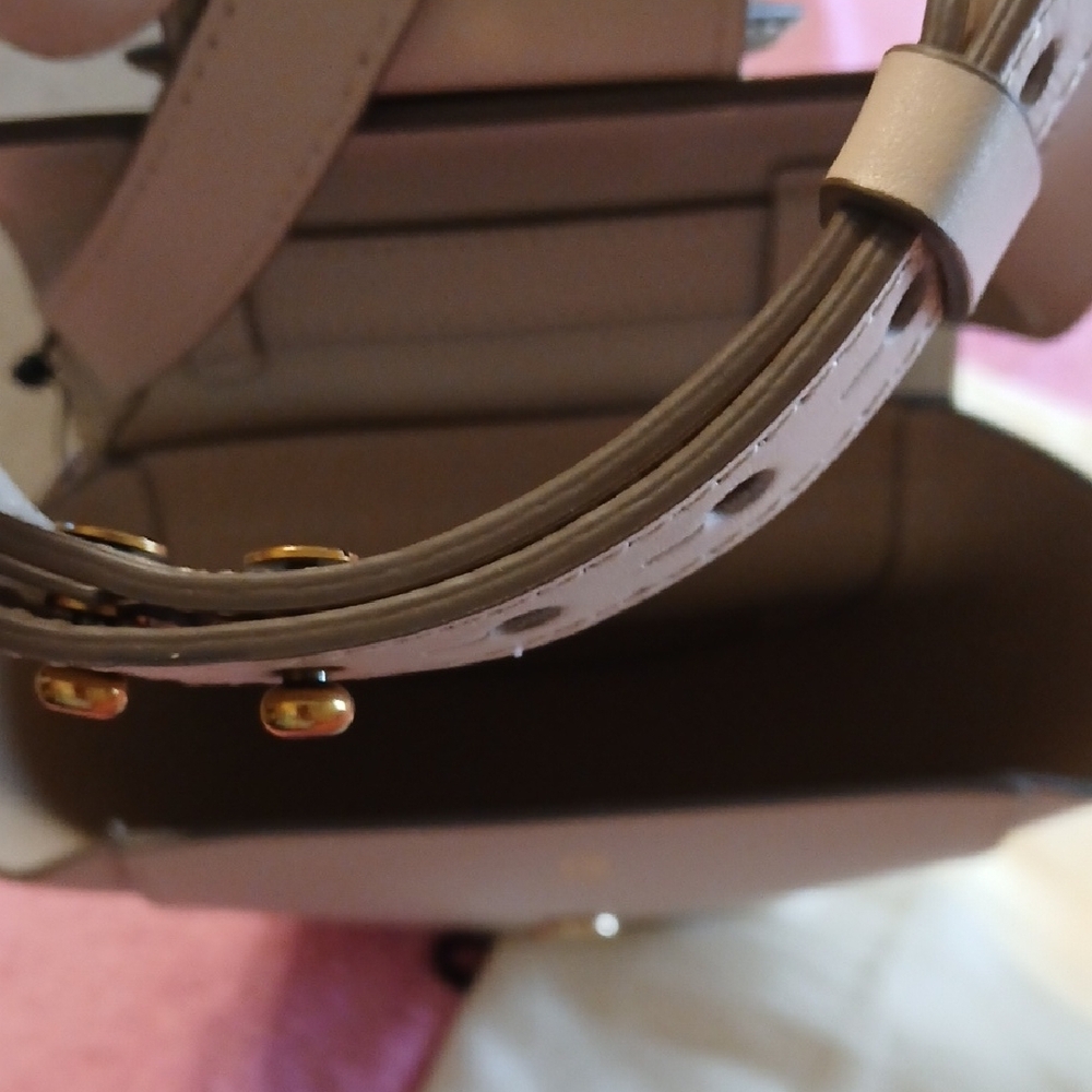 Banana Republic Pale Taupe Leather Circle Crossbody Bag - Picture 4 of 11